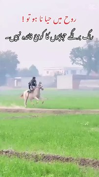 Is bat sa Kon agree krta h _ Shokin Hazrat_ _Viral. _Horseculture_Foryou_Trending(720P_HD)