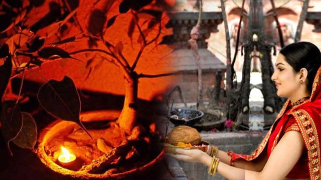 Shani Amavasya Puja Vidhi 2025:शनि अमावस्या पर पीपल और शनि देव की पूजा कैसे करें,कितने दीपक जलाएं ?