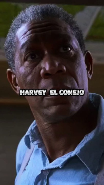 La creación de una identidad falsa por Andy