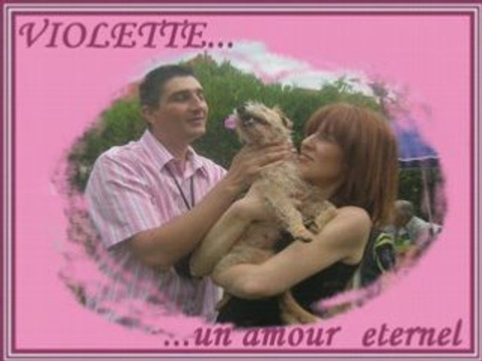Violette au paradis des anges