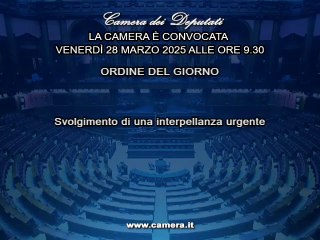 Roma - Camera - 19° Legislatura - 458° seduta (28.03.25)