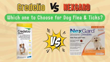 Credelio vs. NexGard 🐶: Which Flea & Tick Preventive Is Best for Your Dog?