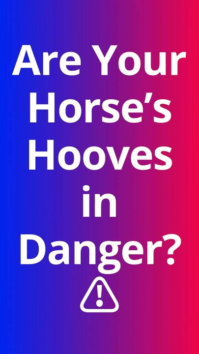 👉 The Secret to a Strong, Healthy Horse! 🐎