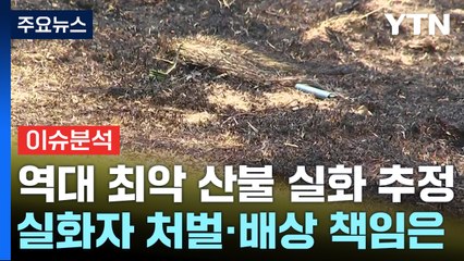 [이슈플러스] 역대 최악의 산불...실화자 처벌·배상 책임은? / YTN