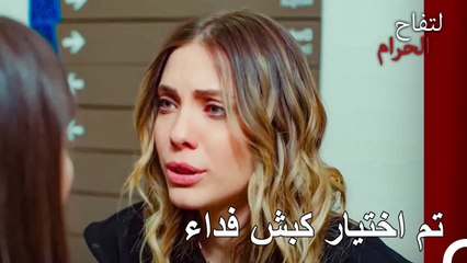 توقف عن التصرف وكأنني مسؤول عن كل شيء! - التفاح الحرام الحلقة ال 127