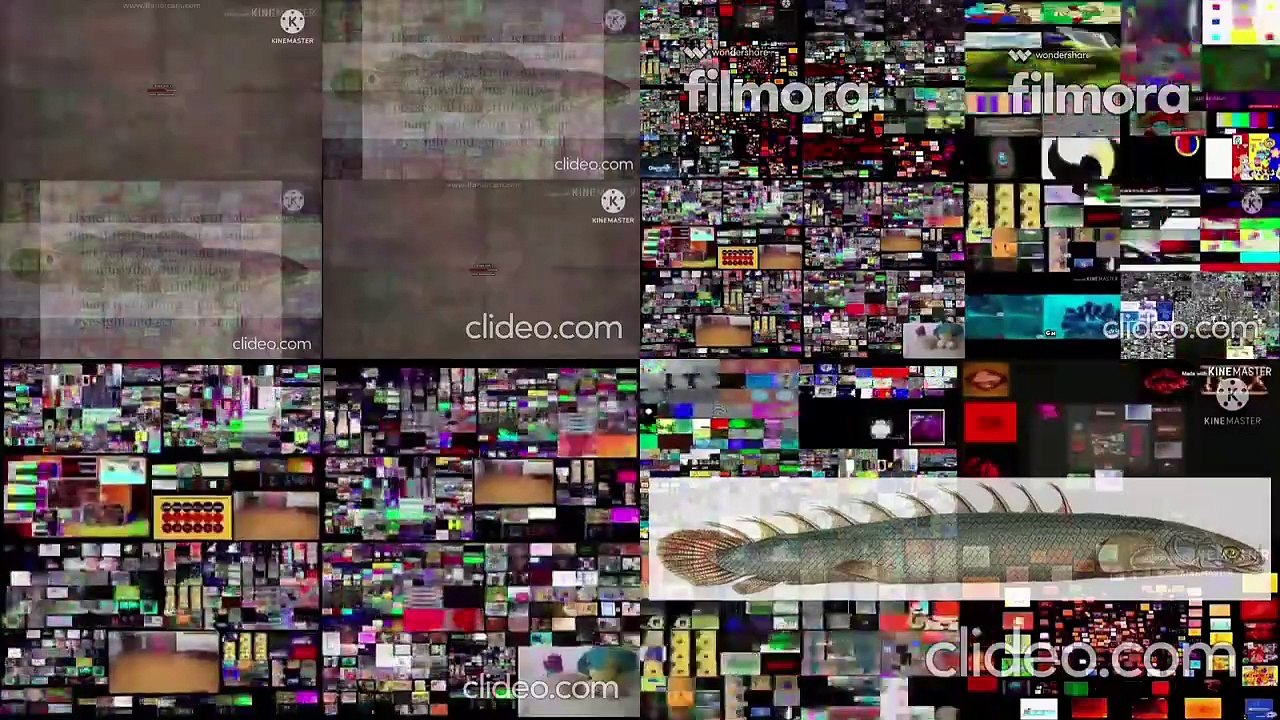 All In One Quadparison 4