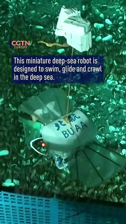 Chinese deep-sea robot reaches deepest point on Earth