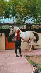 _horselover _horselov _upsc _يوميات_ترند _usa _youtubeshorts _shortvideo _ترند_خيل _خيل _horse(720P_HD)