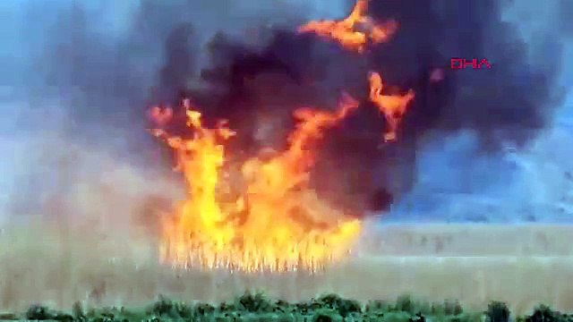 Gala Gölü Milli Parkı'nda büyük yangın