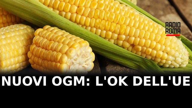 Nuovi OGM, l'ok del Consiglio UE alle nuove tecniche di manipolazione genetica
