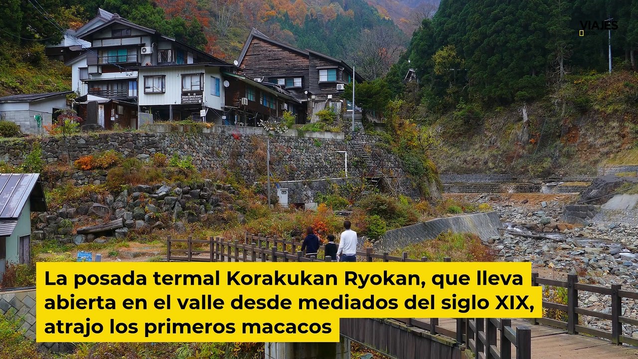 Parque de monos de Jigokudani