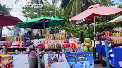 "강철 지구 최초 같은데..." 카리브해의 휴양지, 칸쿤에 도착한 강철이들의 세노테 찾기 대작