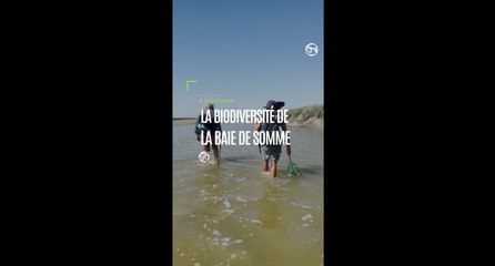 Reportage : À la découverte de la Baie de Somme