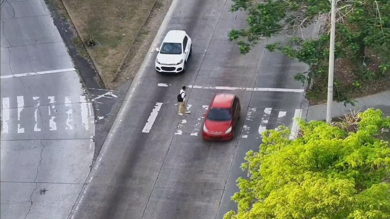 Peatones arriesgan su vida en el cruce peatonal de la Ricardo J. Alfaro, ¿Qué dice la ATTT?