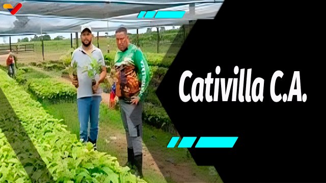 Al Aire | Cativilla C.A. una empresa dedicada a la climatización de cultivos de plantas de café