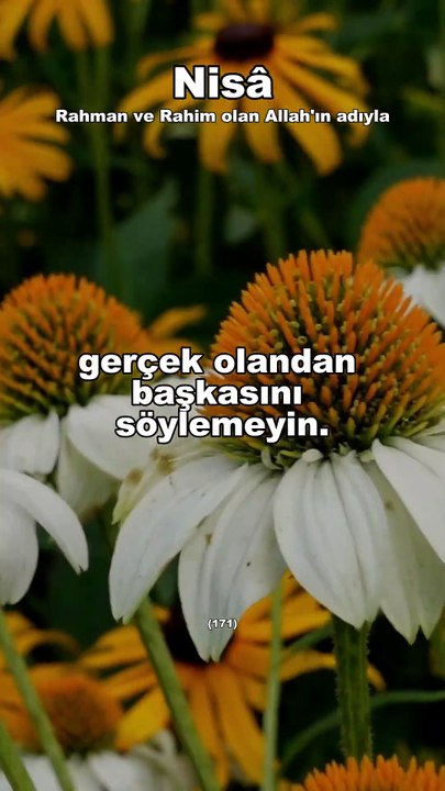 257-) Nisa (171) Türkçe Kuran Hatmi  #hatim #shortvideo #psikoloji #kuran #motivation