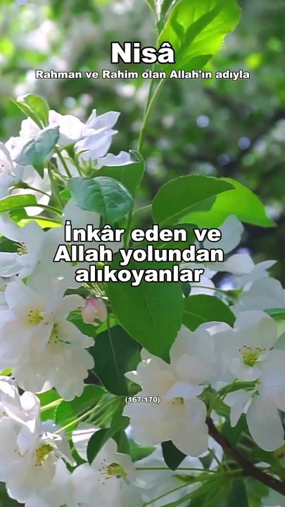 256-) Nisa (167-170) Türkçe Kuran Hatmi  #shortvideo #hatim #psikoloji #kuran #motivation