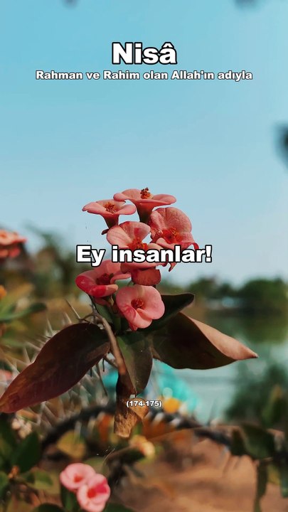 259-) Nisa (174-175) Türkçe Kuran Hatmi  #hatim #shortvideo #psikoloji #kuran