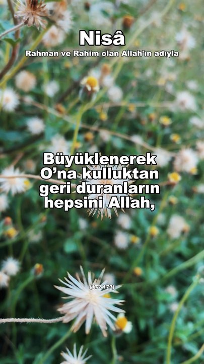 258-) Nisa (172-173) Türkçe Kuran Hatmi  #shortvideo #hatim #psikoloji #kuran #motivation