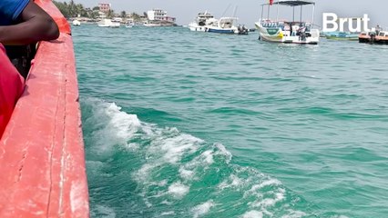 La mystérieuse "maladie des pêcheurs"