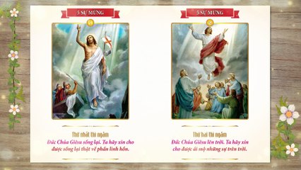 Sách kinh nhỏ #08 - Năm Sự Mừng