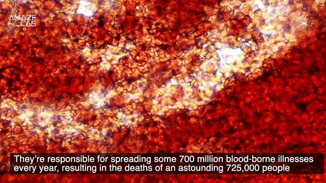 Mosquitoes Are Spreading at a Faster Clip Because of Warming Temperatures