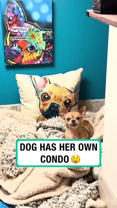 Lach dich schlapp mit Lustige Pfoten Ч. 18