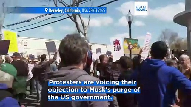 Protesters rebel against Elon Musk's US government purge during Tesla Takedown