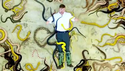 I Survived the 5 Deadliest Places on Earth! 😱🔥 | MrBeast Hindi Dub