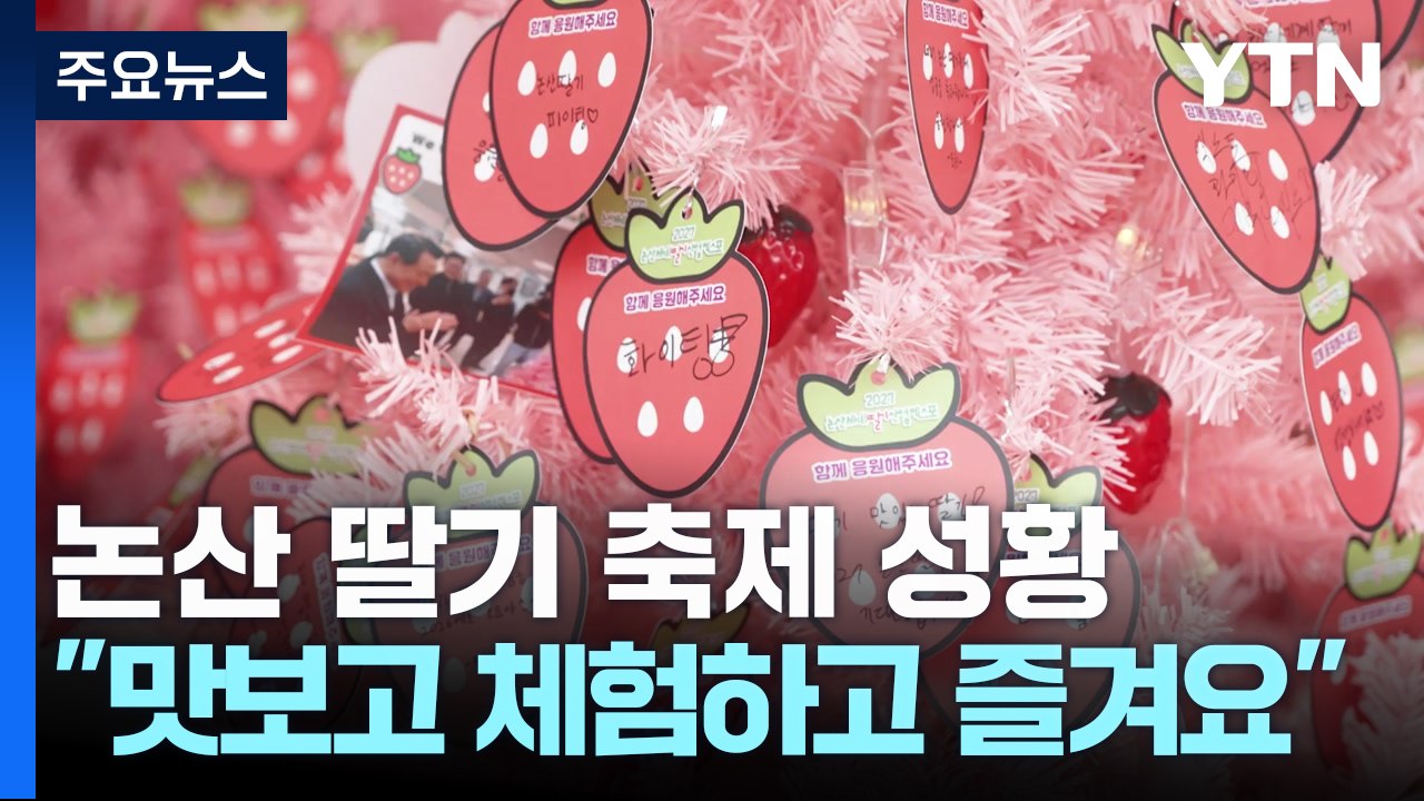 새콤달콤한 딸기의 향연...'논산 딸기 축제' 성황 / YTN