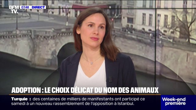 Comment bien choisir le nom de son animal et quels pièges éviter?