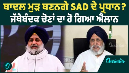 Daljit Cheema | SAD ਦੀ ਪਾਰਲੀਮੈਂਟਰੀ ਬੋਰਡ ਨੇ ਲਿਆ ਵੱਡਾ ਫ਼ੈਸਲਾ ! Daljit Cheema ਨੇ ਦਿੱਤੀ ਜਾਣਕਾਰੀ |