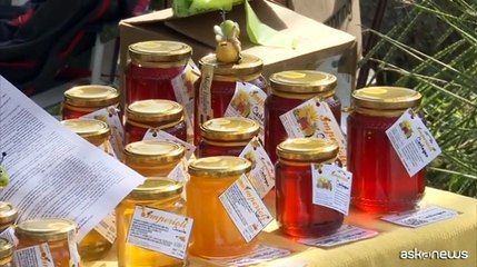 Roma, al via la "Festa del BIO e MontagnaMadre"