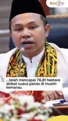 76,81 Ha Lahan di Riau Terbakar Sejak Januari 2025