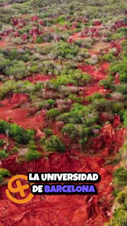 ¡Descubre los Secretos Minerales de Pedernales! 🏞️