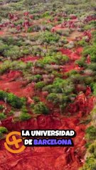 ¡Descubre los Secretos Minerales de Pedernales! 🏞️