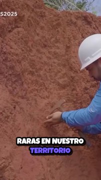 ¡Descubre el Futuro de la República Dominicana con las Tierras Raras! 🌟