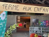 141ème comice de Feurs : Eleveurs, exposants et animaux font le show ! - Des communes de Forez-Est - TL7, Télévision loire 7