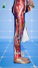 ⚠️ خطر لا تعرفه.. لماذا يجب ألا تقفل ركبتيك؟ 😲