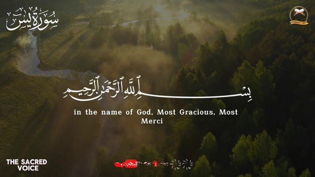 Surah Yasin (Yaseen) Full | سورۃ یس | Relaxing emotional recitation | SOFT VOICE | Beautiful Quran