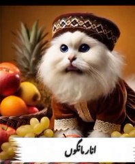 Entertainment#Videos funny#shortmove#shortviral#s