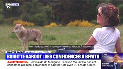 "J'ai un tempérament de feu de Dieu": Brigitte Bardot se confie