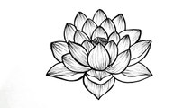 How to draw a lotus flower __ Easy step by step flower drawing