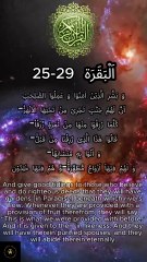 Surah Al-Baqarah (25-29)💜💜💜 ⁨@aliflaammeem5⁩ #quran #allah #quranictranslation #foryou #viralvideo