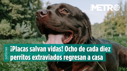 ¡Placas salvan vidas! Ocho de cada Horizontal