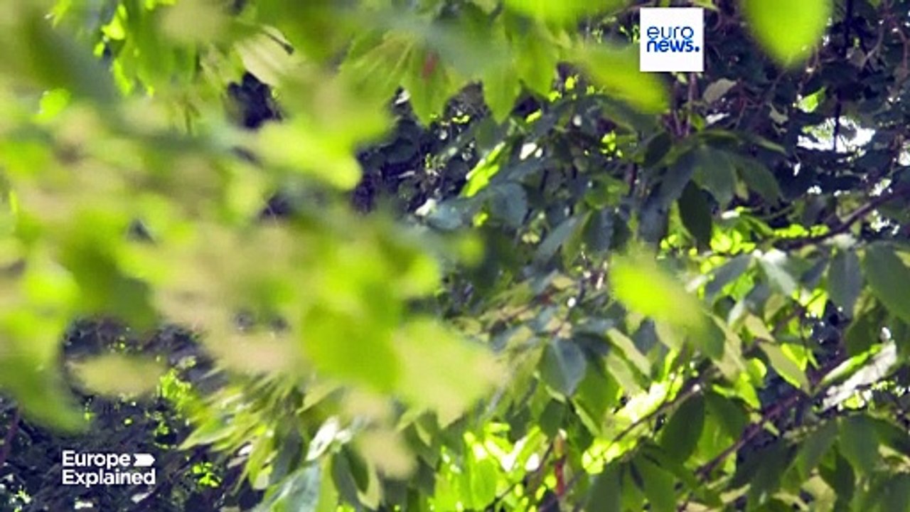 Sommerzeit beginnt - die Politik hinter der Zeitumstellung