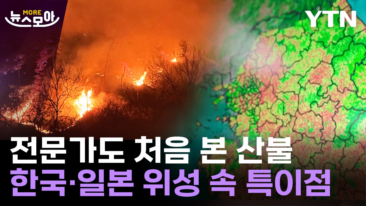 [뉴스모아] 해외도 놀란 '초대형 산불'…"더 자주, 더 강해질 것" 전문가의 경고...