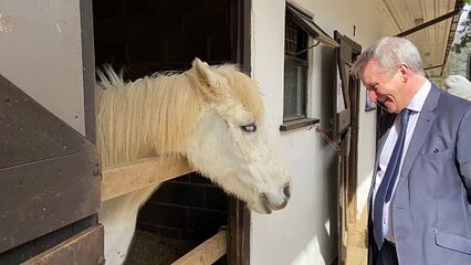 Damian Hinds talks to a pony