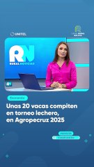 Unas 20 vacas compiten en torneo lechero, en Agropecruz 2025
