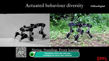 Cientistas criam cão-robô que consegue se mover sem motores